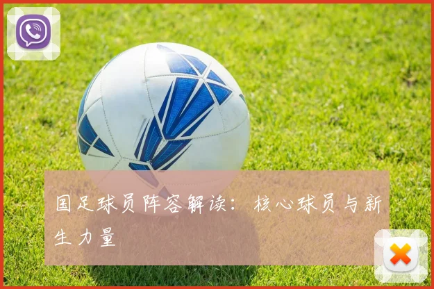 国足球员阵容解读：核心球员与新生力量